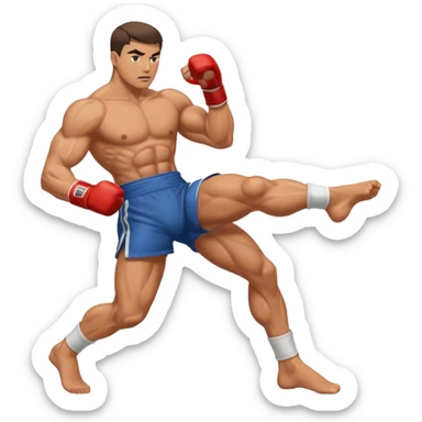 fighter kicking sticker