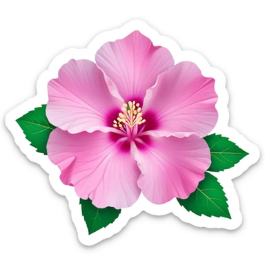 Cinematic Realistic image of a Mugunghwa flower (Rose of Sharon), rendered with delicate petal textures and vibrant pink hues, set against a minimalist background with gentle, diffused lighting that highlights its national significance sticker
