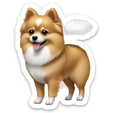 walking pomeranian-spitz mix light brown and white with gray ears  sticker