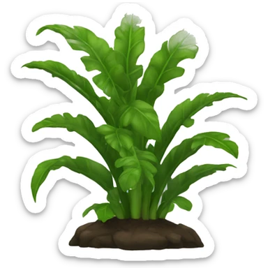 plante basile sticker