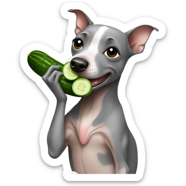 American Hairless Terrier eating cucumber sticker