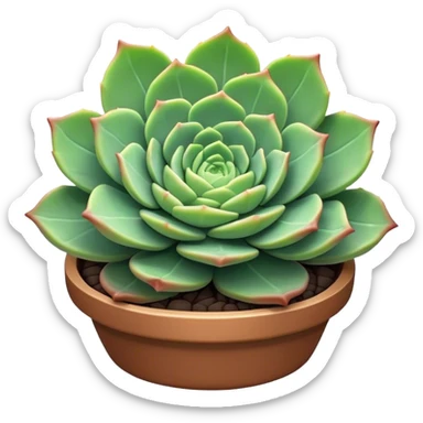 Cinematic Realistic Succulent Emoji, Compact and plump, with fleshy leaves arranged in rosettes of various shapes. The soft, green leaves glow with a gentle radiance, exuding a sense of calm and tranquility. Soft glowing outline, capturing the essence of resilience and beauty in a blossoming succulent! sticker