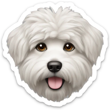 Breed of dog bishon frize mini  sticker