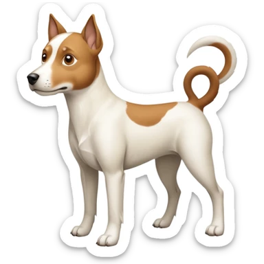 a full body large white parson russell looking dog the size of a kelpie with light brown flapped down ears and a light brown patch on one eye and a large snout sticker