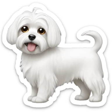 Maltese sticker