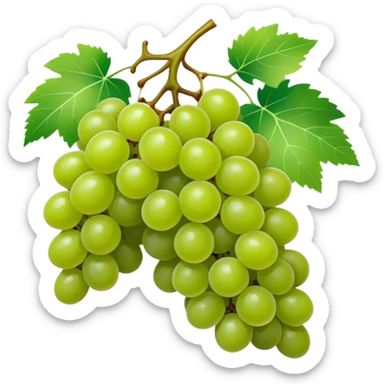 Grapes  sticker