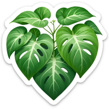 Pothos Manjula sticker