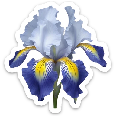 Blue iris flower sticker