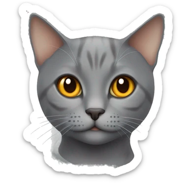 CAT grey british Short hair orange eyes sticker