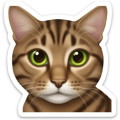 Brown tabby cat green eyes sticker