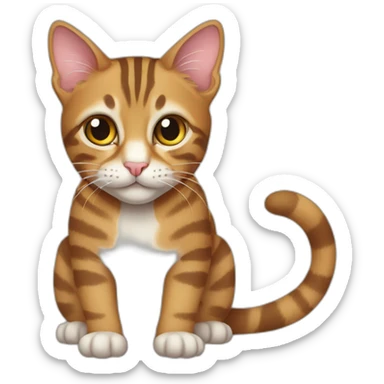 a tabby cat computer science sticker