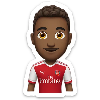 Arsenal fc sticker