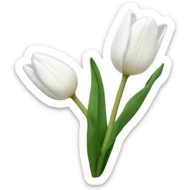 white tulip sticker
