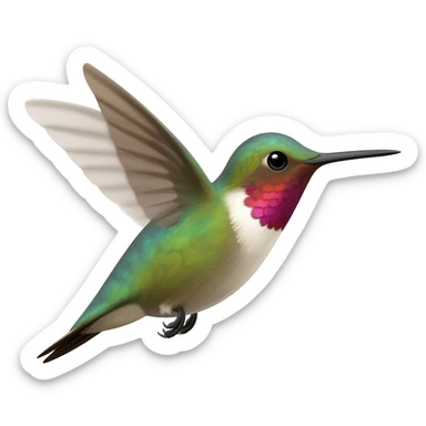 Colibrí sticker
