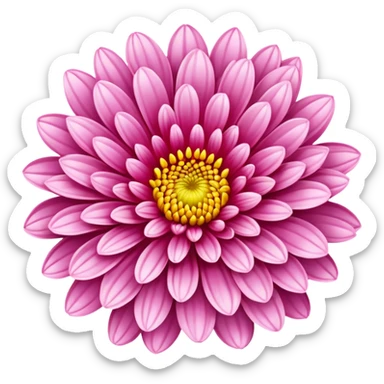 pink chrysanthemum  sticker