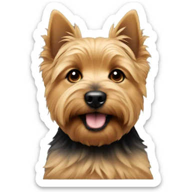 Portrait of a puppy of Norwich terrier Black and Tan colour  sticker