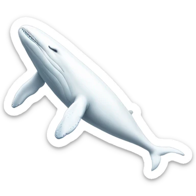 white whale , underside sticker