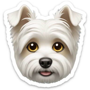 White morkie sticker