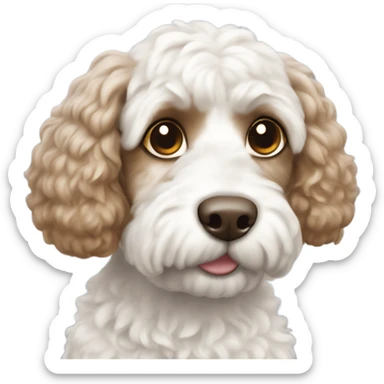 Cockapoo white with brown ears sticker