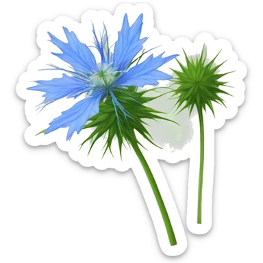 love-in-a-mist flower sticker