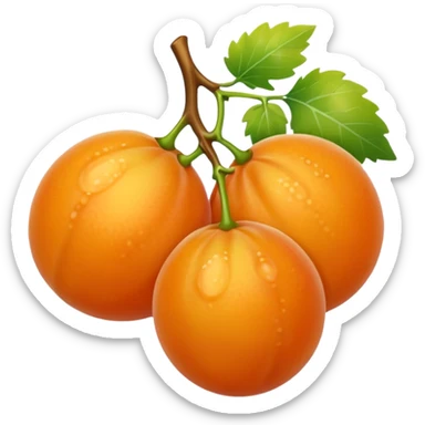 orange grape sticker