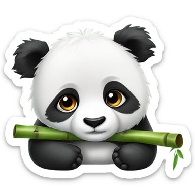 panda  sticker