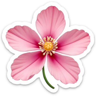 coquina flower sticker
