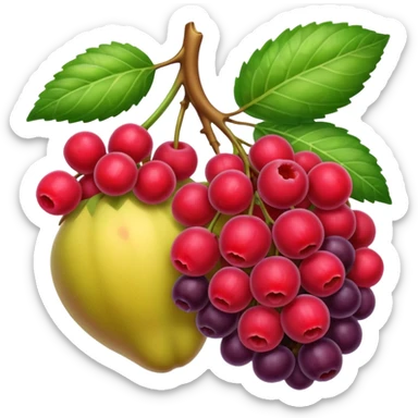 frutti di bosco sticker