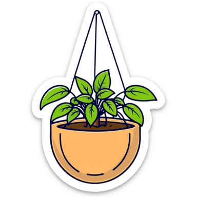 Plectranthus Verticillatus creeping charlie plant with trailing vines and large round coin-shaped leaves in a coconut fiber hanging basket sticker