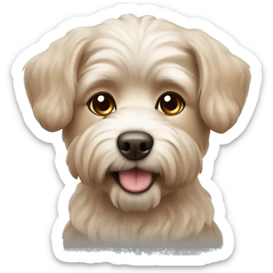 Maltipu dog of brown colour sticker