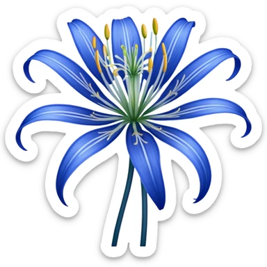 Blue spider Lily  sticker
