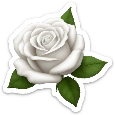 Roses white  sticker
