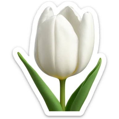 white tulips  sticker
