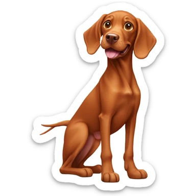 Hungarian vizla happy sticker