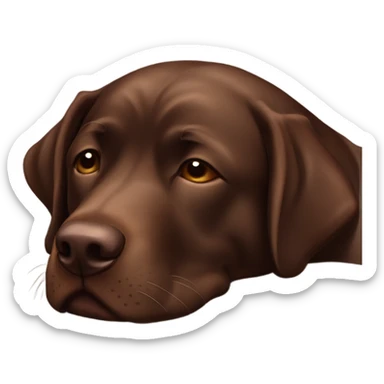 Chocolate lab sleeping sticker