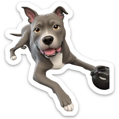 cozy dog lounging by window sticker