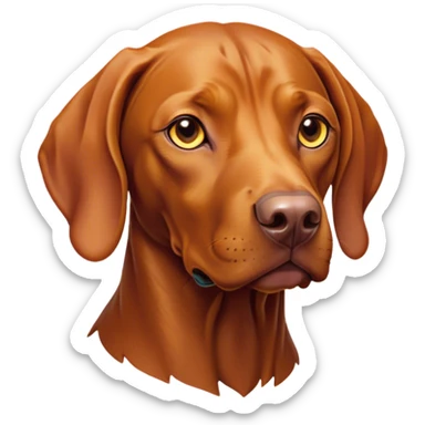 Cinematic Noble Vizsla Portrait Emoji, Poised and regal, with a sleek, athletic build and a short, smooth Fur of rust and gold, deep-set soulful amber eyes, Simplified yet sharp and sophisticated features, highly detailed, glowing with a soft, dignified glow, high shine, intelligent and agile, stylized with an air of determination, focused and attentive, soft glowing outline, capturing the essence of a watchful and confident companion, so majestic it feels as though it could sprint out of the screen with effortless authority! sticker