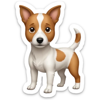 a full body white jack russel looking dog the size of a kelpie with light brown ears and a light brown patch on one eye, flopped down ears and a large snout sticker