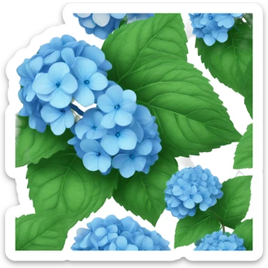 Blue hydrangeas sticker