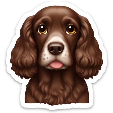 Chocolate dog Cocker spaniel sticker