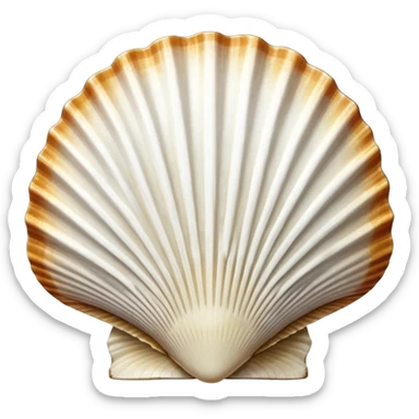St. James scallop shell pilgrim symbol sticker