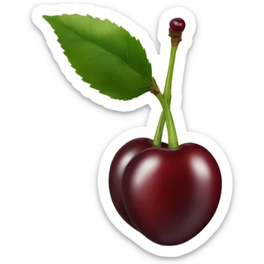 two burgundy cherries on single stem sticker