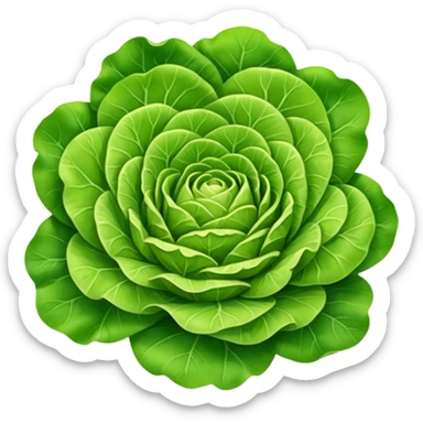 Butter lettuce sticker