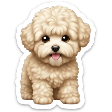 cream sand maltipoo fluffy not curly sticker