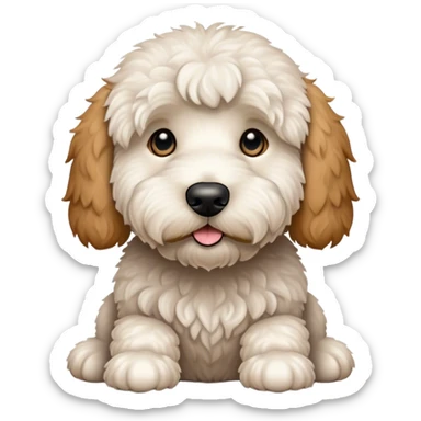 Golden doodle, big white with a little brown black eyes sticker