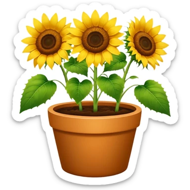 sunflowers pot sticker