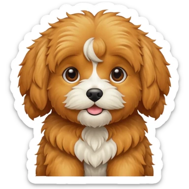 Cavapoo  apricot sticker