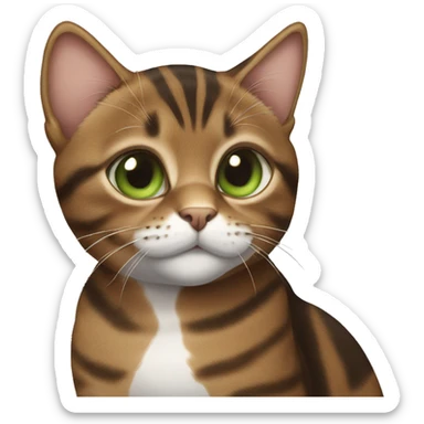 a brown tabby cat green eyes sticker