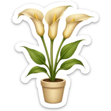 Beige Calla plant sticker