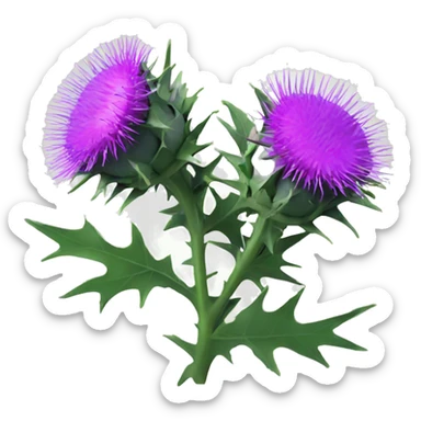 plum coloured Milk thistle sticker